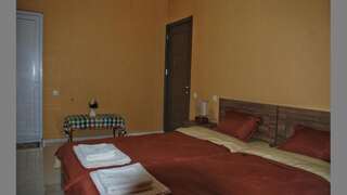 Отель Hotel Amarela Мцхета Двухместный номер с 1 кроватью или 2 отдельными кроватями, вид на город-4
